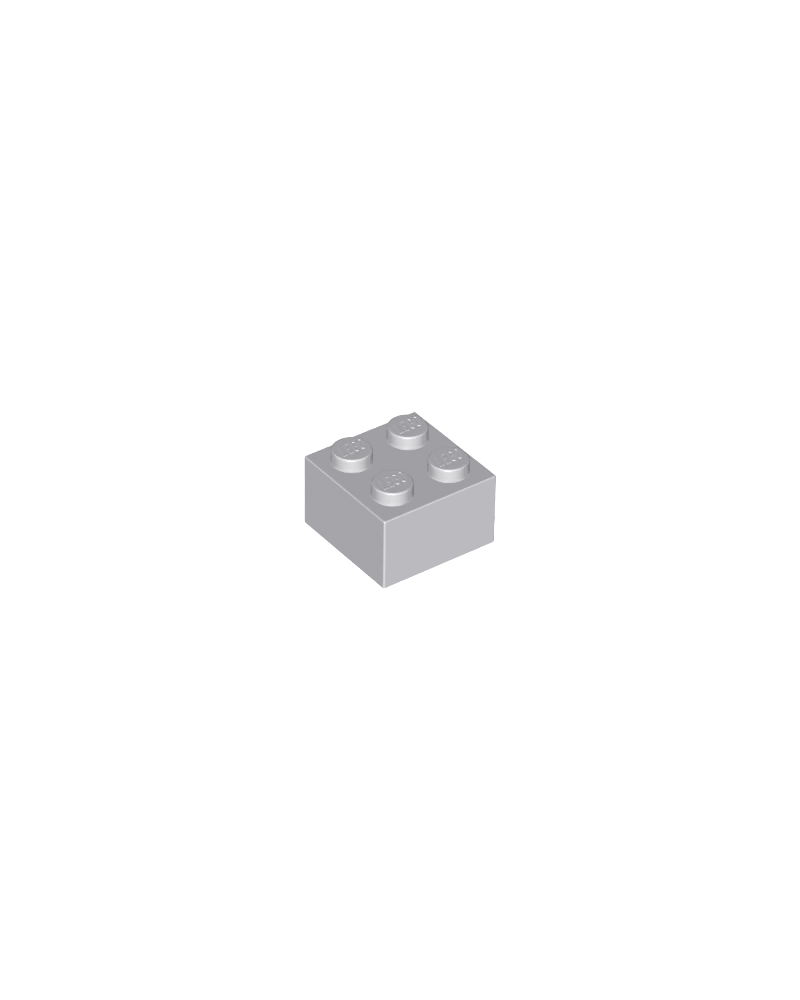 LEGO® steen 2x2 licht grijs