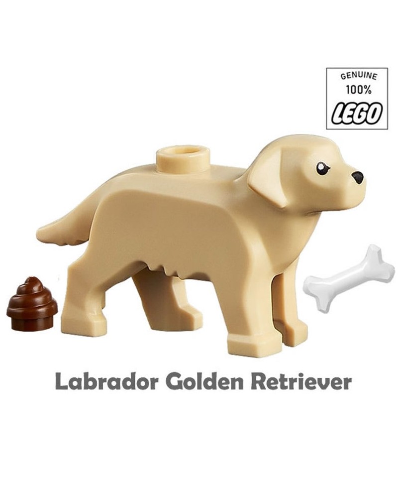Minifig Figur Labrador Retriever Dog Leine 60292 Hund mit Geschirr LEGO City 